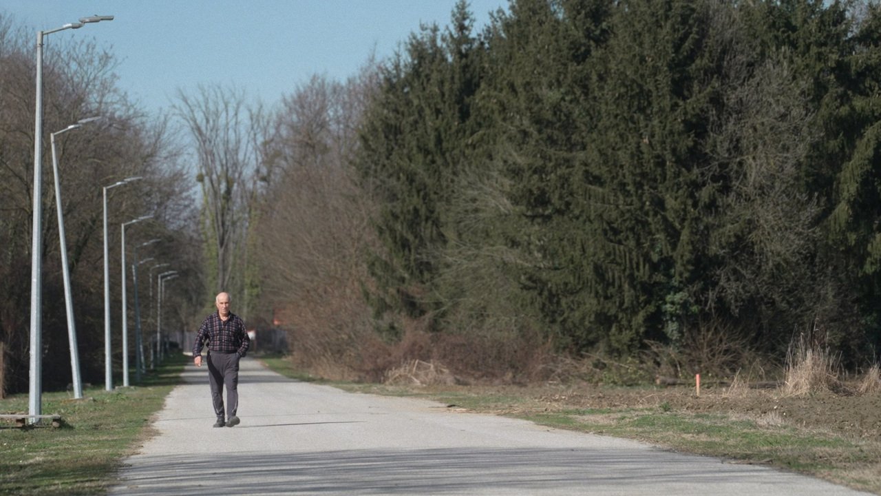 A man walking alone along a long road